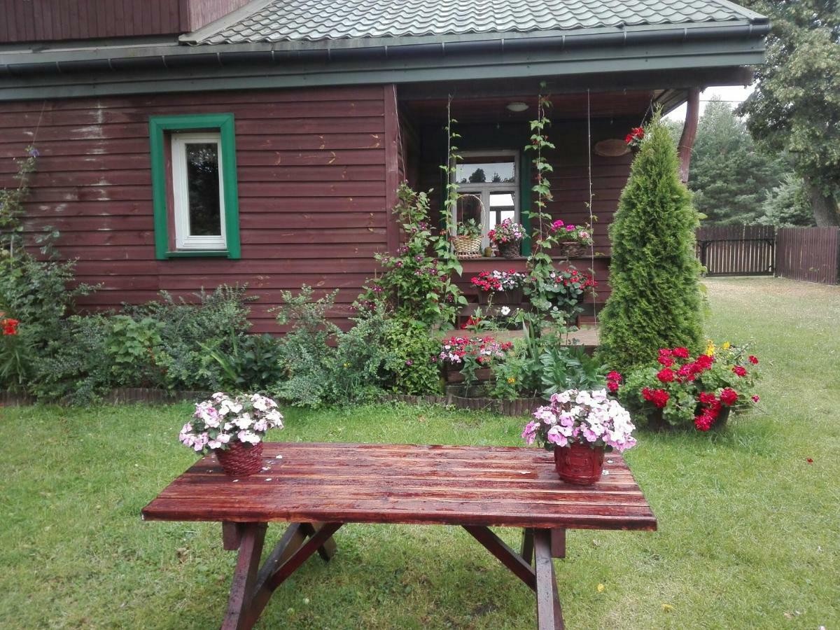Dom Na Skraju Puszczy Bialowieskiej Narewka المظهر الخارجي الصورة